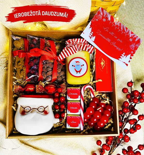 Jauka Ziemassvētku dāvana visai ģimenei